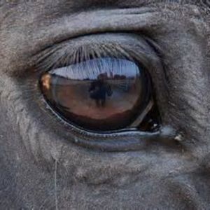 Meet your Posher, Karla